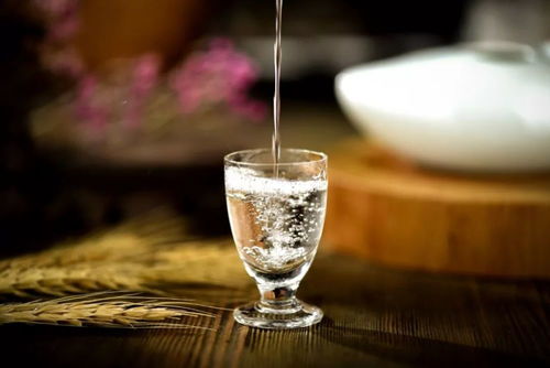 醉酒的六重境界 從微醺到致命，你了解多少？